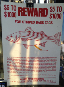 bb stripped bass sign