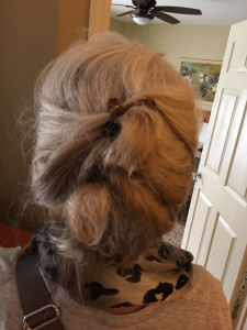 Gail's hairdo